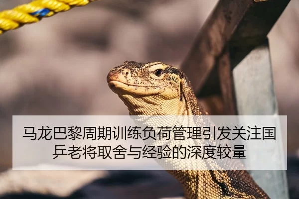 马龙巴黎周期训练负荷管理引发关注国乒老将取舍与经验的深度较量