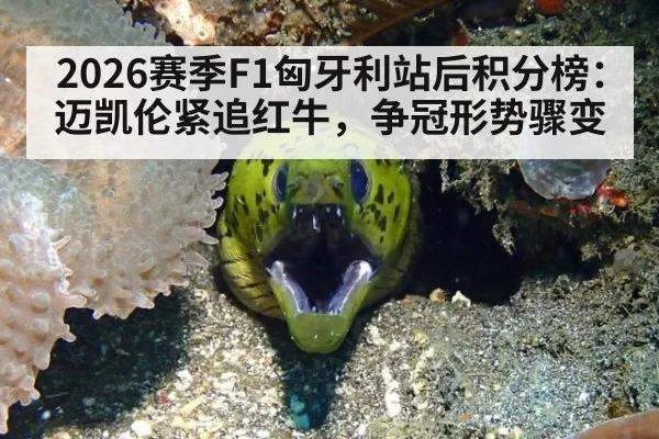 2026赛季F1匈牙利站后积分榜：迈凯伦紧追红牛，争冠形势骤变